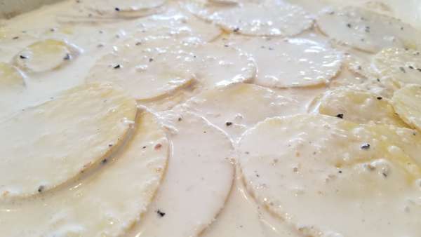 Scalloped potatoes in process